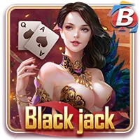 Black jack 3D