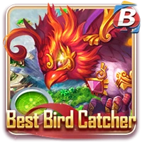BSP Best Bird Catcher