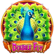 Double Fly