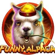 Funny Alpaca