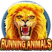 Running Animals
