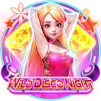 Wild Disco Night