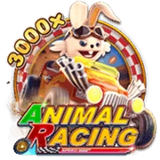 ANIMAL RACING