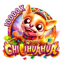 CHILIHUAHUA