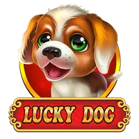 Lucky Dog