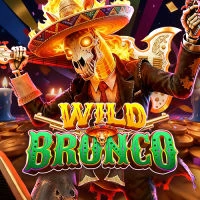 Wild Bronco
