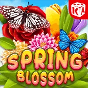 Spring Blossom