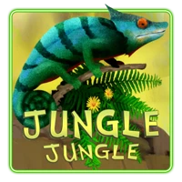 Jungle