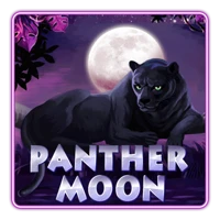 Panther Moon
