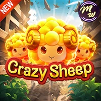 Crazy Sheep