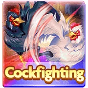 CockFighting
