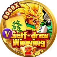 Self-draw winning 2