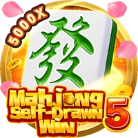 Mahjong Self-Drawn Win 5